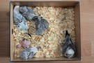 130921 --- R29, R30, R31, R32, R33 och R34